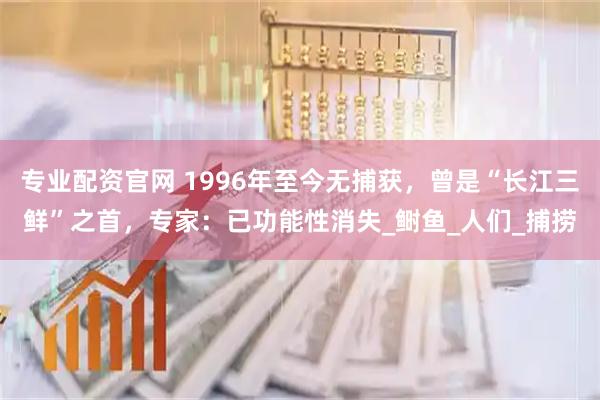 专业配资官网 1996年至今无捕获，曾是“长江三鲜”之首，专家：已功能性消失_鲥鱼_人们_捕捞