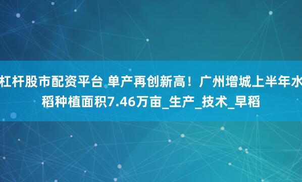 杠杆股市配资平台 单产再创新高！广州增城上半年水稻种植面积7.46万亩_生产_技术_早稻