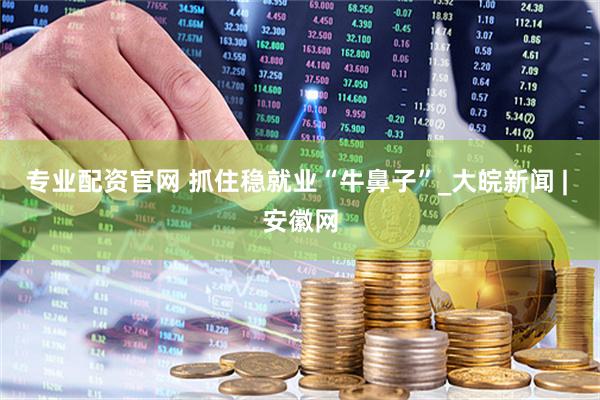 专业配资官网 抓住稳就业“牛鼻子”_大皖新闻 | 安徽网
