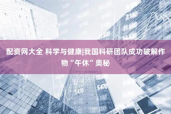配资网大全 科学与健康|我国科研团队成功破解作物“午休”奥秘